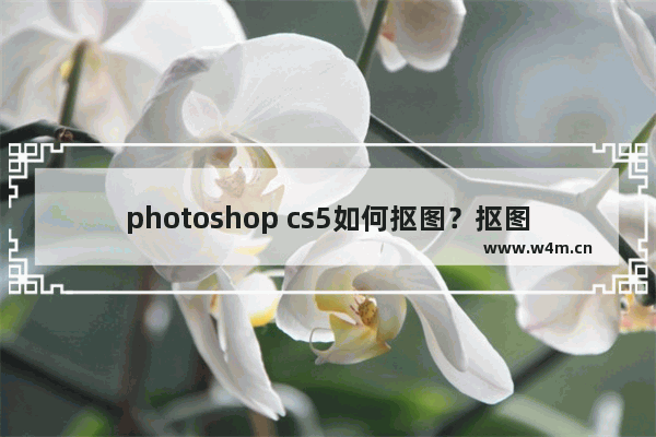 photoshop cs5如何抠图？抠图技巧一览