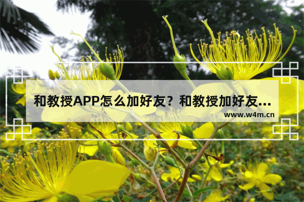 和教授APP怎么加好友？和教授加好友的方法分享