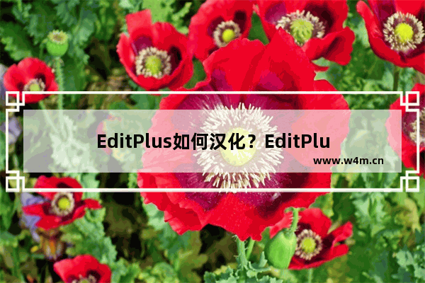 EditPlus如何汉化？EditPlus汉化方法介绍