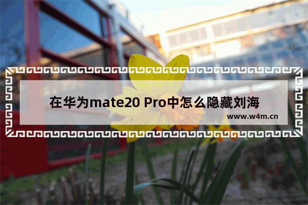 在华为mate20 Pro中怎么隐藏刘海？华为mate20 Pro隐藏刘海的方法讲解