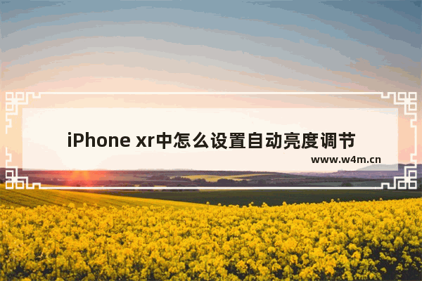 iPhone xr中怎么设置自动亮度调节？自动亮度调节设置方法一览