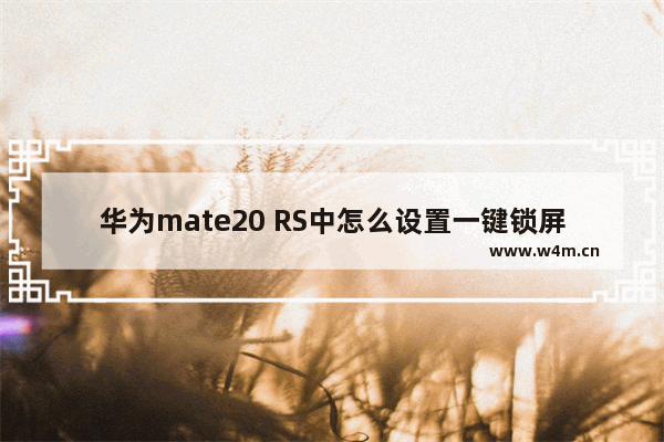 华为mate20 RS中怎么设置一键锁屏？设置一键锁屏的流程分享