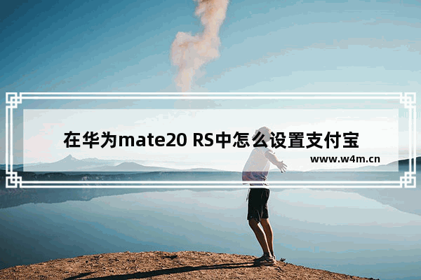 在华为mate20 RS中怎么设置支付宝刷脸支付？支付宝刷脸支付设置方法讲解