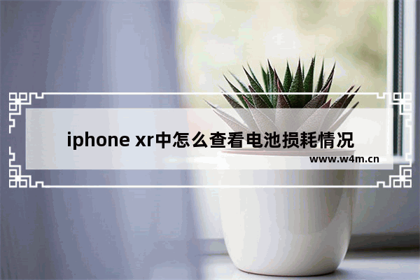 iphone xr中怎么查看电池损耗情况？电池损耗情况查看方法介绍