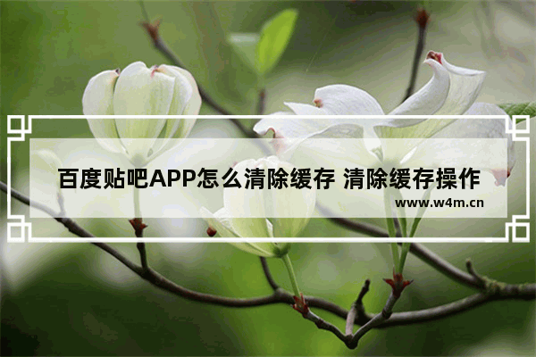 百度贴吧APP怎么清除缓存 清除缓存操作流程分享