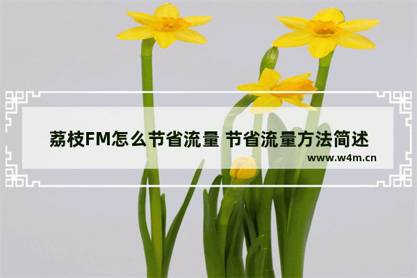 荔枝FM怎么节省流量 节省流量方法简述