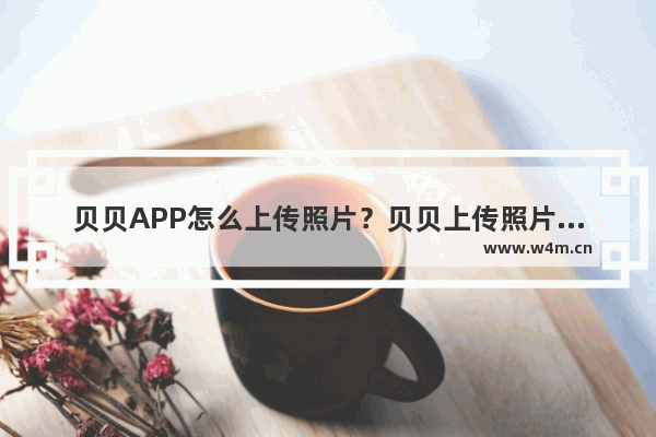 贝贝APP怎么上传照片？贝贝上传照片的方法说明