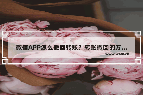 微信APP怎么撤回转账？转账撤回的方法一览