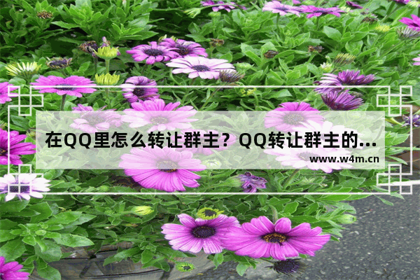 在QQ里怎么转让群主？QQ转让群主的方法讲解