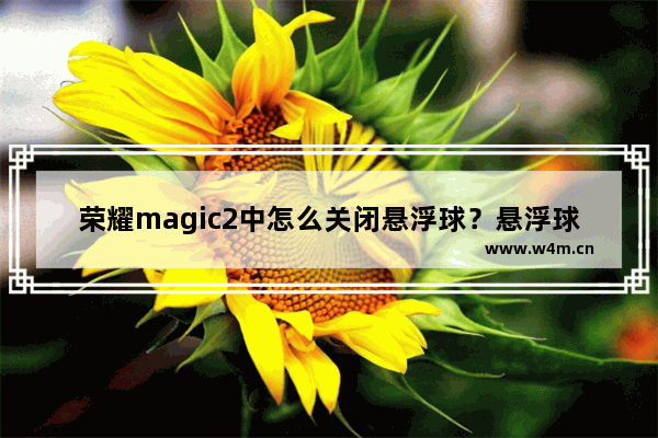 荣耀magic2中怎么关闭悬浮球？悬浮球关闭方法说明