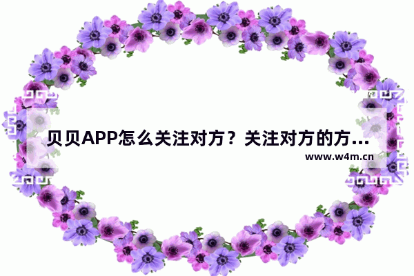 贝贝APP怎么关注对方？关注对方的方法说明