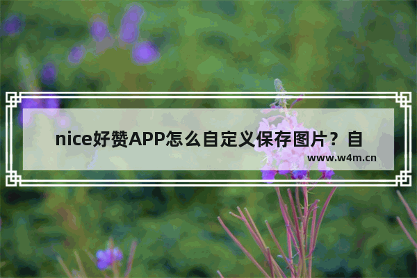 nice好赞APP怎么自定义保存图片？自定义保存图片的方法说明