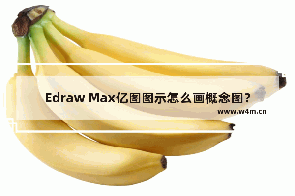 Edraw Max亿图图示怎么画概念图？