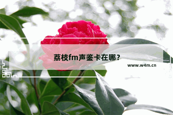 荔枝fm声鉴卡在哪？