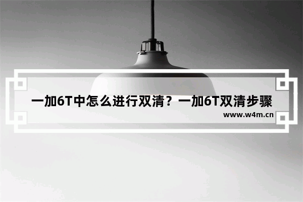 一加6T中怎么进行双清？一加6T双清步骤分享