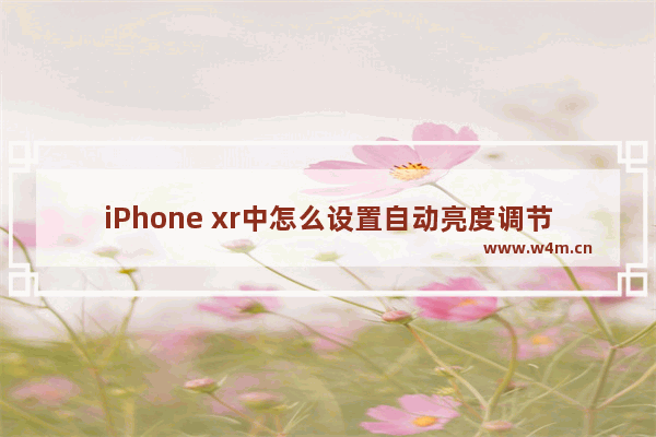 iPhone xr中怎么设置自动亮度调节？自动亮度调节设置方法分享