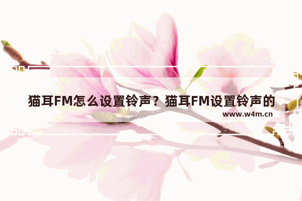 猫耳FM怎么设置铃声？猫耳FM设置铃声的步骤一览