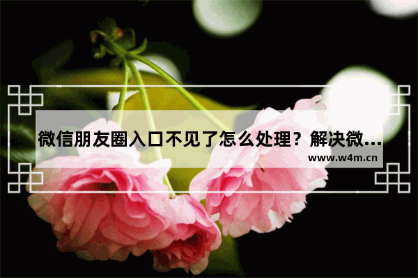 微信朋友圈入口不见了怎么处理？解决微信朋友圈入口不见了的方法介绍