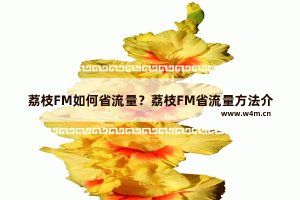 荔枝FM如何省流量？荔枝FM省流量方法介绍