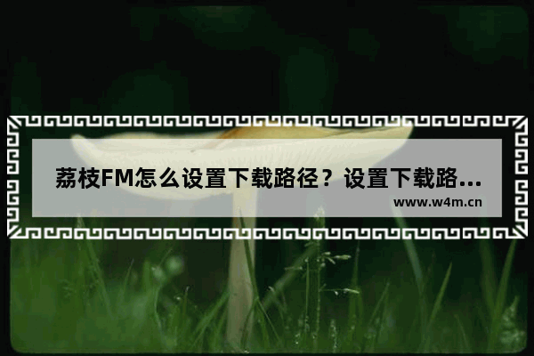 荔枝FM怎么设置下载路径？设置下载路径方法介绍