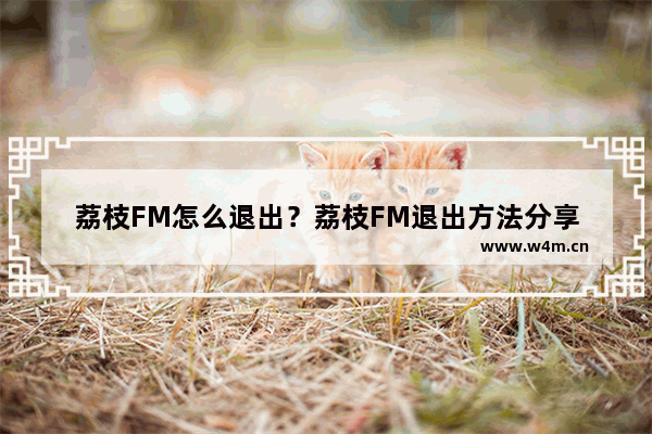 荔枝FM怎么退出？荔枝FM退出方法分享