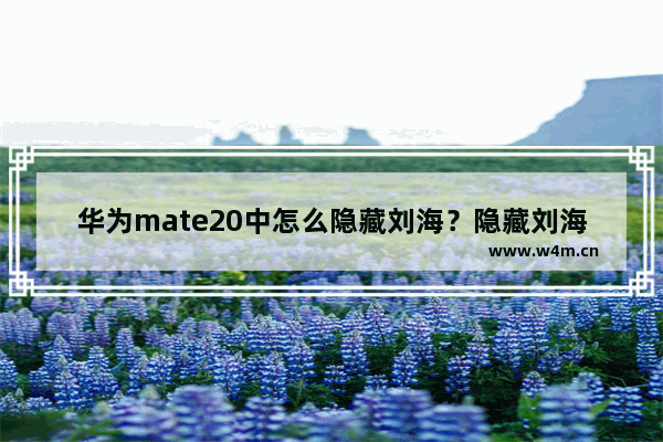 华为mate20中怎么隐藏刘海？隐藏刘海的操作方法讲解