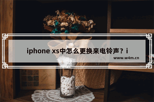 iphone xs中怎么更换来电铃声？iphone xs来电铃声更换步骤分享