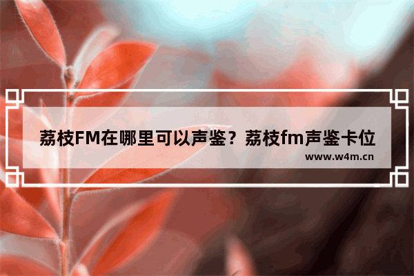 荔枝FM在哪里可以声鉴？荔枝fm声鉴卡位置介绍