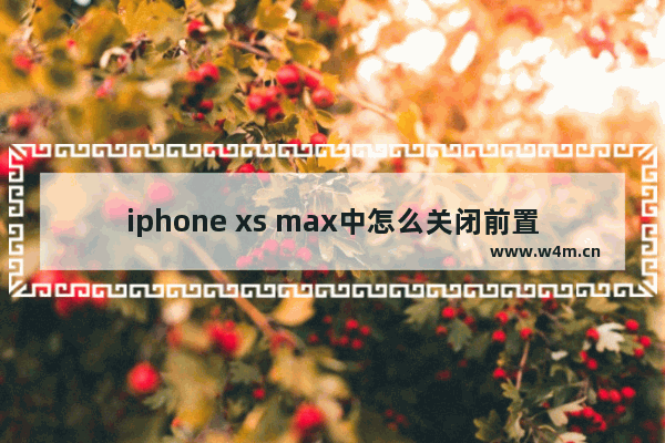 iphone xs max中怎么关闭前置美颜？iphone xs max前置美颜关闭方法一览