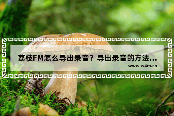 荔枝FM怎么导出录音？导出录音的方法说明