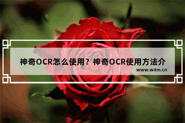 神奇OCR怎么使用？神奇OCR使用方法介绍