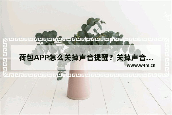 荷包APP怎么关掉声音提醒？关掉声音提醒的方法介绍