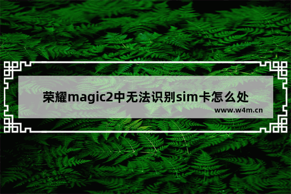 荣耀magic2中无法识别sim卡怎么处理？荣耀magic2无法识别sim卡解决方法说明