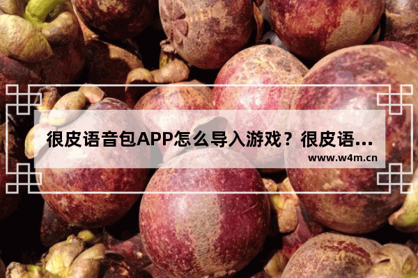 很皮语音包APP怎么导入游戏？很皮语音包导入游戏的步骤一览