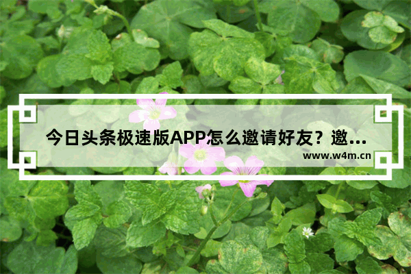 今日头条极速版APP怎么邀请好友？邀请好友的方法讲解