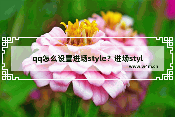 qq怎么设置进场style？进场style设置方法介绍