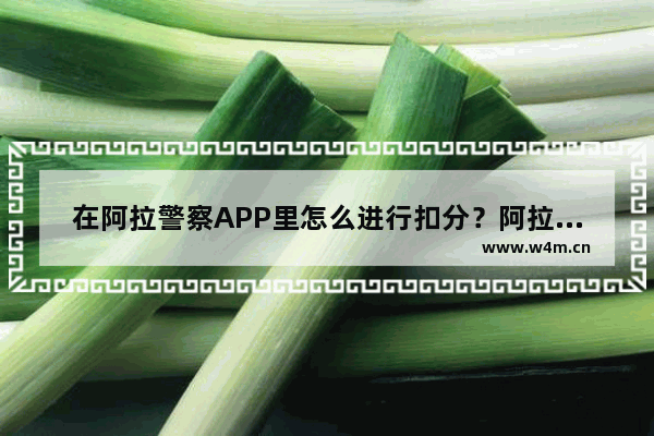 在阿拉警察APP里怎么进行扣分？阿拉警察APP进行扣分的方法说明