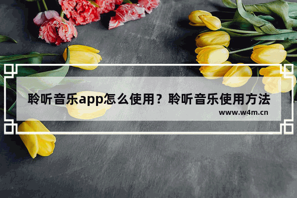 聆听音乐app怎么使用？聆听音乐使用方法介绍