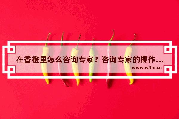 在香橙里怎么咨询专家？咨询专家的操作流程一览