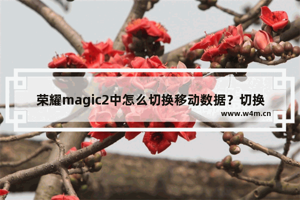 荣耀magic2中怎么切换移动数据？切换移动数据的方法讲解