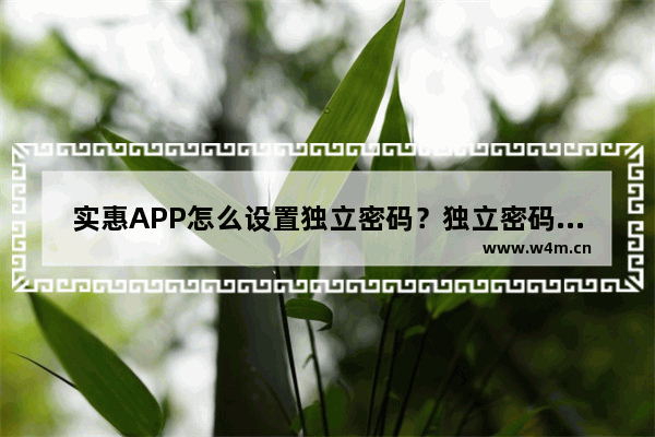 实惠APP怎么设置独立密码？独立密码设置方法讲解