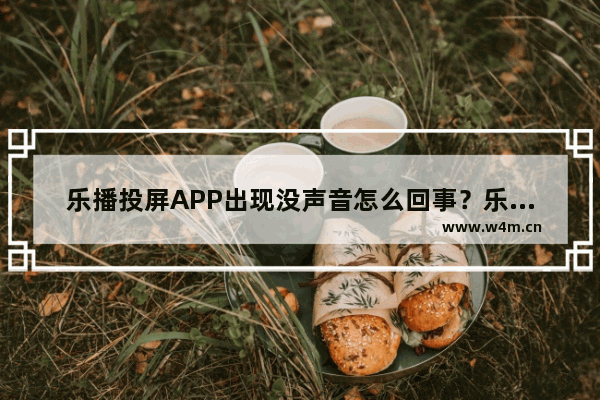 乐播投屏APP出现没声音怎么回事？乐播投屏没声音解决方法讲解