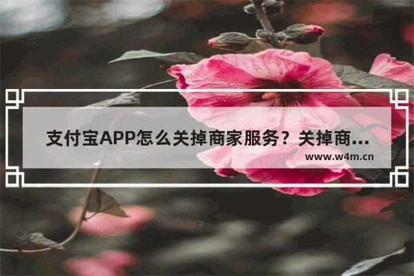 支付宝APP怎么关掉商家服务？关掉商家服务的方法说明