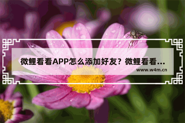 微鲤看看APP怎么添加好友？微鲤看看添加好友的方法分享