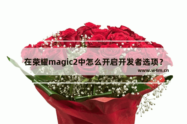 在荣耀magic2中怎么开启开发者选项？开启开发者选项的流程一览