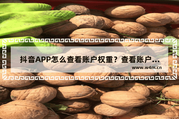 抖音APP怎么查看账户权重？查看账户权重的方法说明