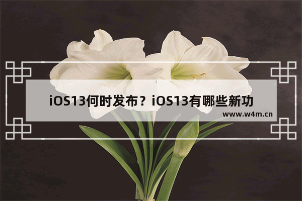 iOS13何时发布？iOS13有哪些新功能？