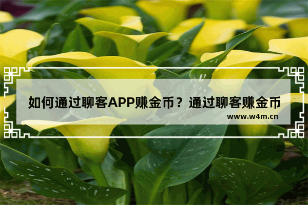 如何通过聊客APP赚金币？通过聊客赚金币的方法说明