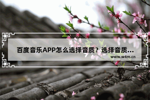 百度音乐APP怎么选择音质？选择音质的方法说明