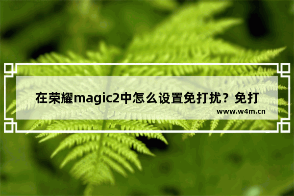 在荣耀magic2中怎么设置免打扰？免打扰设置方法说明